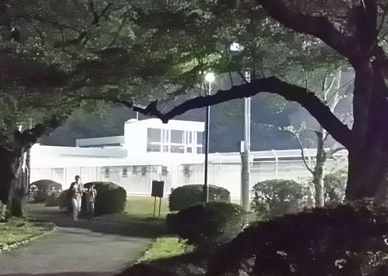 ナイタープール